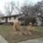 1101 Bailey Dr. Pontiac